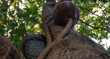 一款可定制的鳥(niǎo)巢投光燈 園林景觀亮化