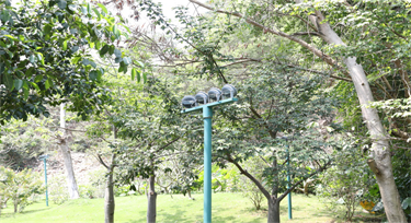 光臣照明淺談山體亮化工程